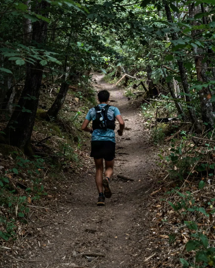 Corridore su un sentiero stretto in un bosco di faggi